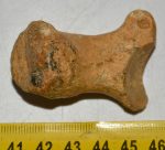 Ursus spelaeus hand bone (49 x 37 x 30 mm)