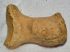 Ursus spelaeus hand bone (49 x 37 x 30 mm)