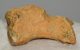 Ursus spelaeus hand bone (49 x 37 x 30 mm)