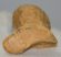 Ursus spelaeus hand bone (49 x 37 x 30 mm)