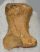 Ursus spelaeus hand bone (49 x 37 x 30 mm)