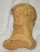 Ursus spelaeus hand bone (49 x 37 x 30 mm)