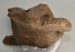 Coelodonta antiquitatis atlas vertebra ( Woolly Rhinoceros )