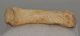 Ursus spelaeus metapodium csont (78,4 mm) Ursus spelaeus metapodium csont (78,4 mm)