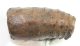 Mammuthus primigenius részleges fog (1170 gramm)  ELFOGYOTT (LL B) 04