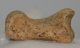 Ursus spelaeus toe bone (35 mm)