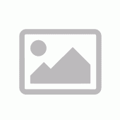Toxaster granosus var. kiliani tengerisün Franciaországból ELFOGYOTT (PL) 05