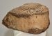 Mammuthus sp. partial vertebra bone (1020 grams)