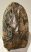 Mammuthus meridionalis részleges fog (3162 gramm)