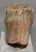 Mammuthus primigenius fog (1418 gramm)