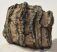 Mammuthus meridionalis részleges fog (464 grams)