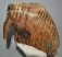 Mammuthus primigenius tooth (4169 grams) Woolly Mammoth SOLD (J) 09