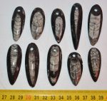 Orthoceras pendants 10 pieces (43 - 63 mm)