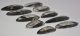 Orthoceras pendants 10 pieces (43 - 63 mm)