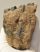 Mammuthus meridionalis partial tooth (877 grams) SOLD (E) 10