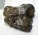 Mammuthus meridionalis részleges fog (108 gramm)