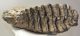 Mammuthus meridionalis lower tooth (2381 grams) Sold (br) 06