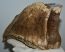 Mammuthus primigenius tooth (1592 grams)