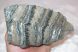 Mammuthus meridionalis tooth (733 gram) Southern mammoth molar