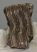 Mammuthus primigenius partial tooth (500 grams)