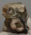 Mammuthus primigenius partial tooth (500 grams)