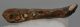 Halichoerus grypus partial jaw (122 mm) Grey seal