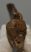 Halichoerus grypus partial jaw (122 mm) Grey seal