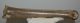 Megaloceros giganteus metatarsus bone (352 mm)