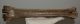 Megaloceros giganteus metatarsus bone (352 mm)