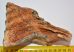 Mammuthus primigenius részleges fog (638 gramm) ELFOGYOTT (LL B) 02