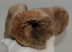 Woolly Rhino partial humerus bone Coelodonta antiquitatis