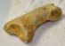 Ursus spelaeus toe bone (42,5 mm) proximal phalanges