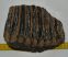 Mammuthus cf. meridionalis partial upper tooth (1736 grams) SOLD (E) 10 Mammuthus cf. meridionalis partial upper tooth (1736 grams) SOLD (E) 10