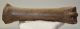 Equus sp. metacarpus bone (253 mm)