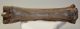 Equus sp. metacarpus bone (253 mm)