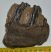 Mammuthus meridionalis részleges fog (550 gramm)