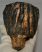 Mammuthus meridionalis tooth (1628 grams) Southern mammoth