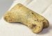 Ursus spelaeus toe bone (46 mm) proximal phalanges