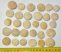 30 Nummulites perforatus from Hungary 30 Nummulites perforatus from Hungary
