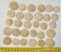 30 Nummulites perforatus from Hungary 30 Nummulites perforatus from Hungary
