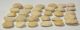 30 Nummulites perforatus from Hungary 30 Nummulites perforatus from Hungary