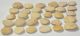 30 Nummulites perforatus from Hungary 30 Nummulites perforatus from Hungary