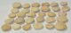30 Nummulites perforatus from Hungary 30 Nummulites perforatus from Hungary