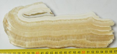 Polished calcite from Süttő