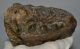 Mammuthus meridionalis részleges fog (1159 gramm)