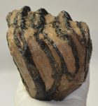 Mammuthus meridionalis részleges fog (1547 gramm)