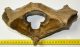 Rhinoceros partial atlas vertebra (261 mm) SOLD (PA) 01