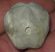 Cretaceous aged Heteraster oblongus sea urchin fossil