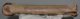 Equus sp. metacarpus bone (250 mm)