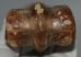 Equus sp. metacarpus bone (250 mm)